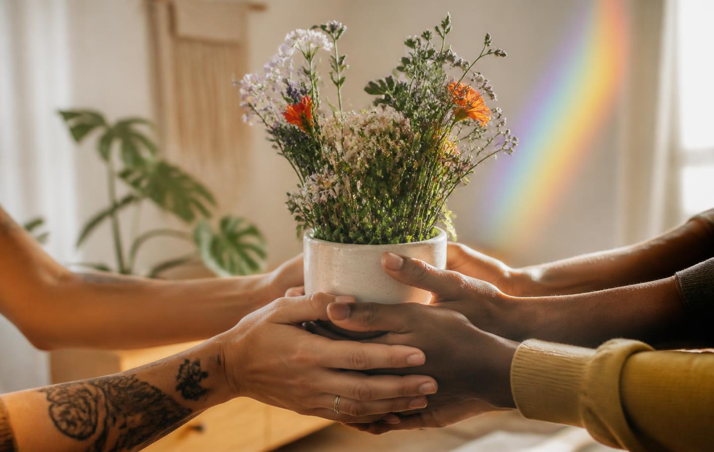 Diverse hands holding a potted plant together in warm sunlight, symbolizing growth and community
